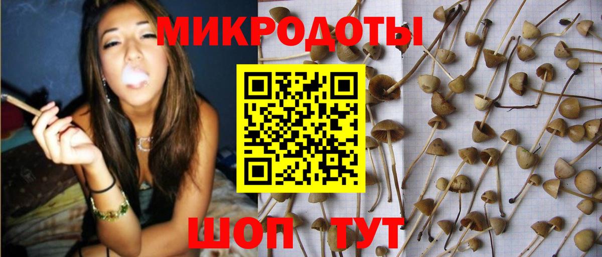 Галлюциногенные грибы MAGIC MUSHROOMS Прохладный