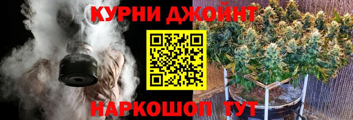 Марихуана марихуана  Вход с VPN  Бошки марихуана тримм  Бошки Шишки White Widow  Прохладный  Шишки марихуана LSD WEED 